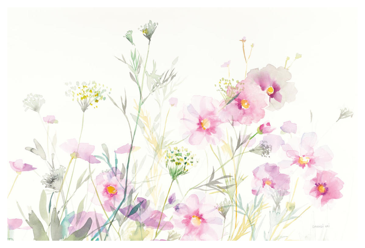 Queen Annes Lace and Cosmos on White -Paper Art-50"x34"