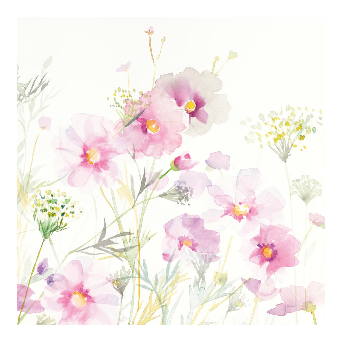 Queen Annes Lace and Cosmos on White II -Paper Art-20"x20"