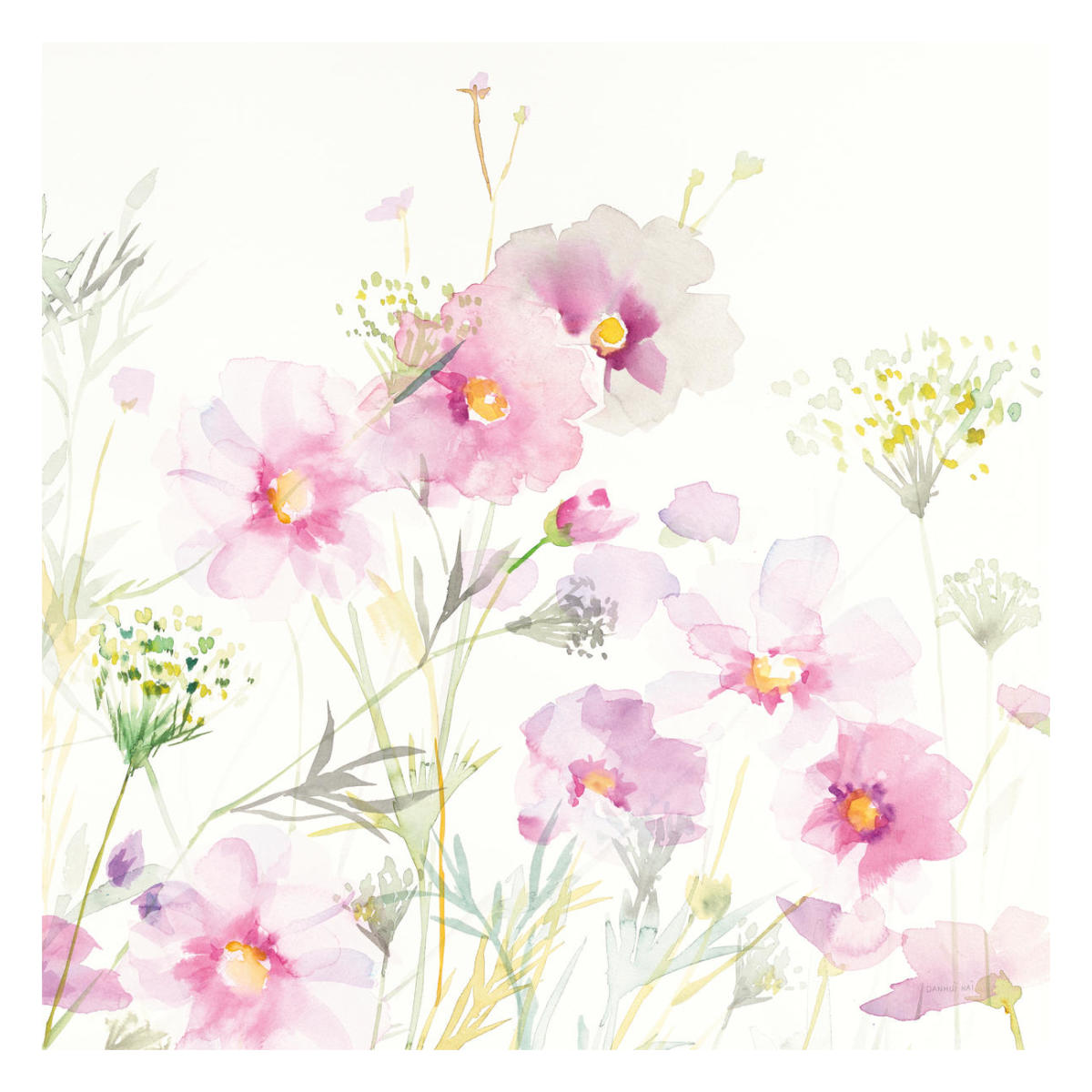 Queen Annes Lace and Cosmos on White II -Paper Art-26"x26"